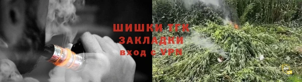 прущие грибы Покачи