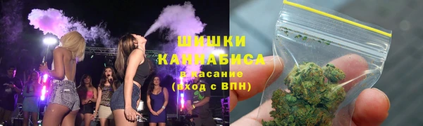 прущие грибы Покачи