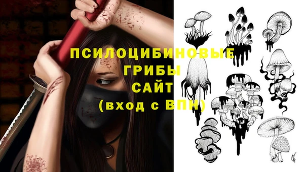 ECSTASY Покровск