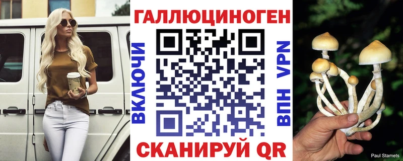 Псилоцибиновые грибы Psilocybine cubensis  Чекалин 
